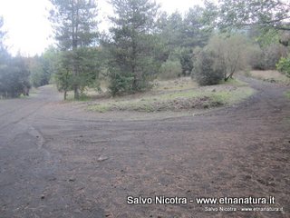 sco di Centorbi-24-11-2013 17-32-31